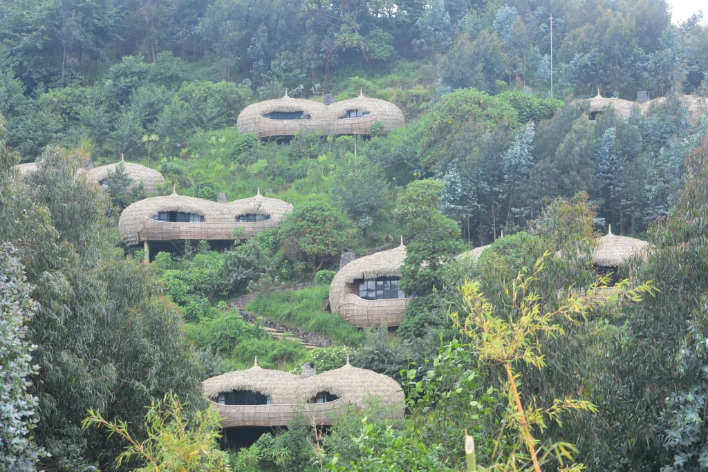 Gorillas, Kigali& Culture.